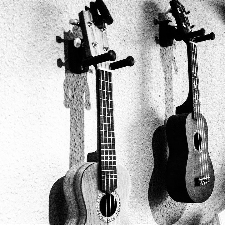 Ukelele, Música, Páginas, Instrumento Musical, Grey